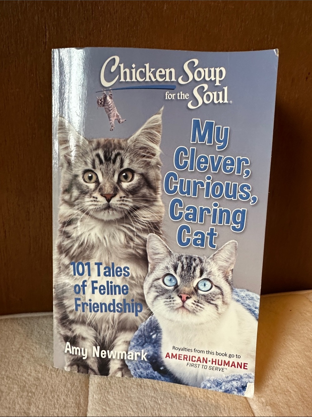 Cat chicken soup for the soul Amy Newmark